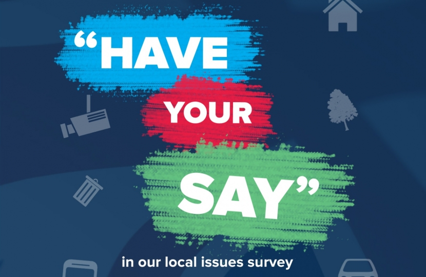 Local Issues Survey