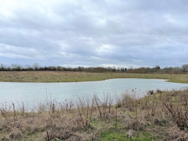 Burnehyll Community Woodland